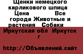 Щенки немецкого карликового шпица › Цена ­ 20 000 - Все города Животные и растения » Собаки   . Иркутская обл.,Иркутск г.